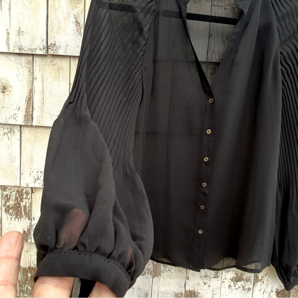 Zara Pleated Long Sleeves Button Down Sheer Blouse - Picture 2 of 4